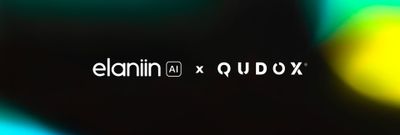 Elaniin y Qudox: Potenciando el Análisis de Datos en Marketing con AI